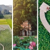 Ninh Binh Lotus Season, a visit to bloom your soul
