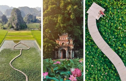 Ninh Binh Lotus Season, a visit to bloom your soul