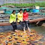 Mekong Delta Trip 3 days 2 nights: Escape to Can Tho and Surroundings