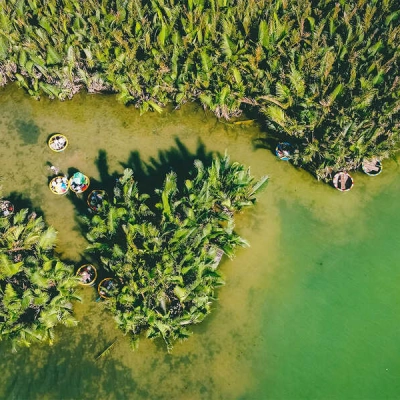 Bay Mau Coconut Forest