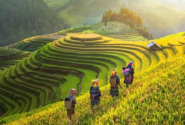 Sapa – Ban Khoang – Ta Giang Phinh (New route) - Sapa (B, L)