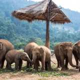 Laos Vietnam Thailand Tour 22 Days: Southeast Asian Adventure