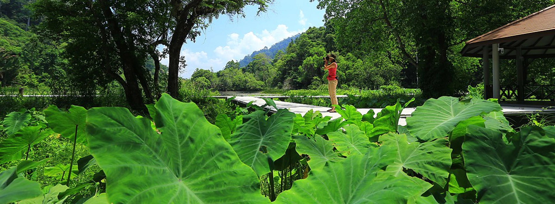 Thale Ban National Park