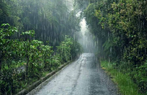 Monsoon Season: Navigating the Wettest Months in Thailand with Ease