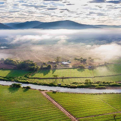 Pai