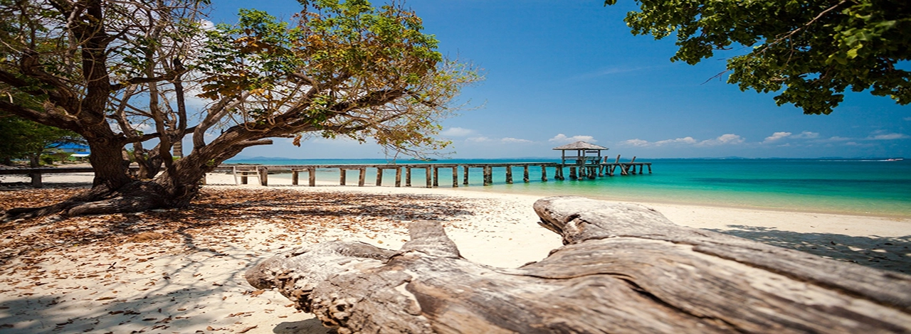 Rayong Excursion