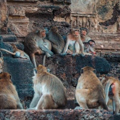 Lopburi
