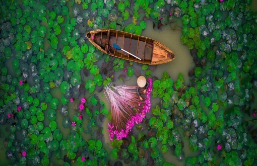 Best Attractions to Travel for a Mekong Delta Eco-Tour