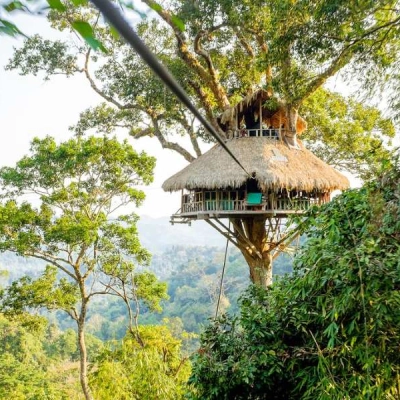 Gibbon Experience