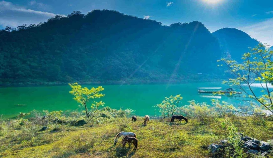 Ba Be National Park Tour 3 days 2 nights: Nature's Hidden Gem