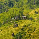 Lao Cai Tour 5 days: Explore Sapa, Bac Ha and Hoang Su Phi