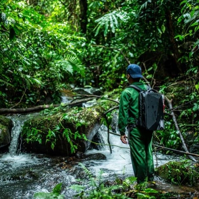 Bokeo Nature Reserve