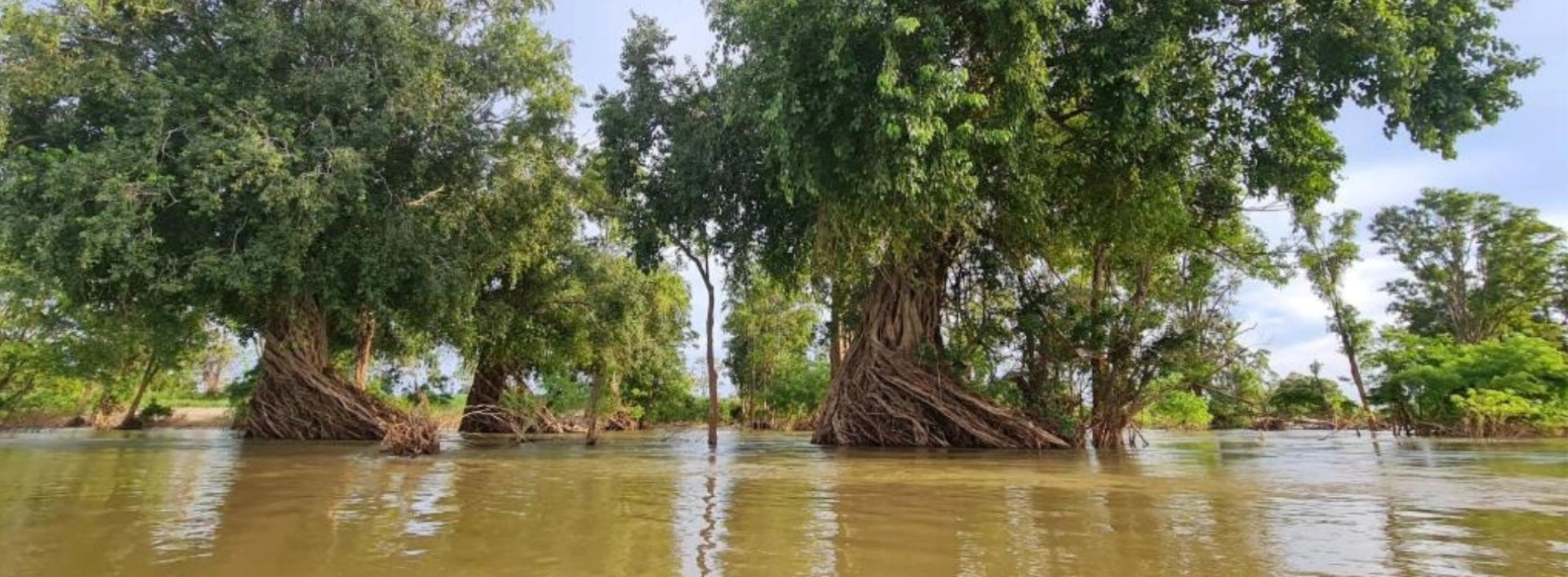 Stung Treng