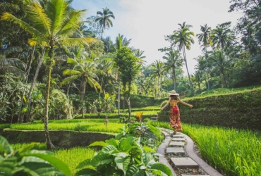 Ubud – The handicraft vilages – Ubud (B)