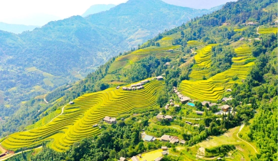 Hoang Su Phi Tour 4 Days: Trekking Experience
