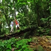 Top Activities in Perak: From Thrilling to Relaxing