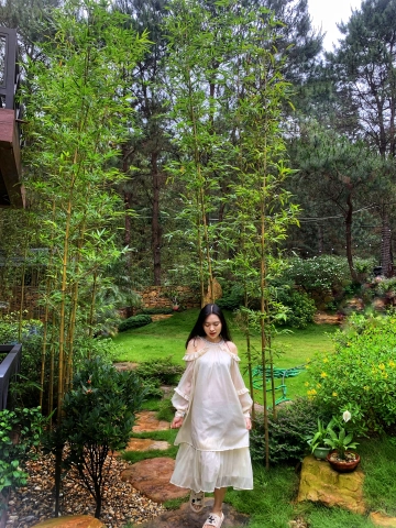 Photo of Ngoc Lan Chu