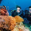 Nha Trang Tour 2 days: A Detailed Handbook for Your Trip