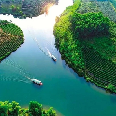 Thanh Chuong Tea Island