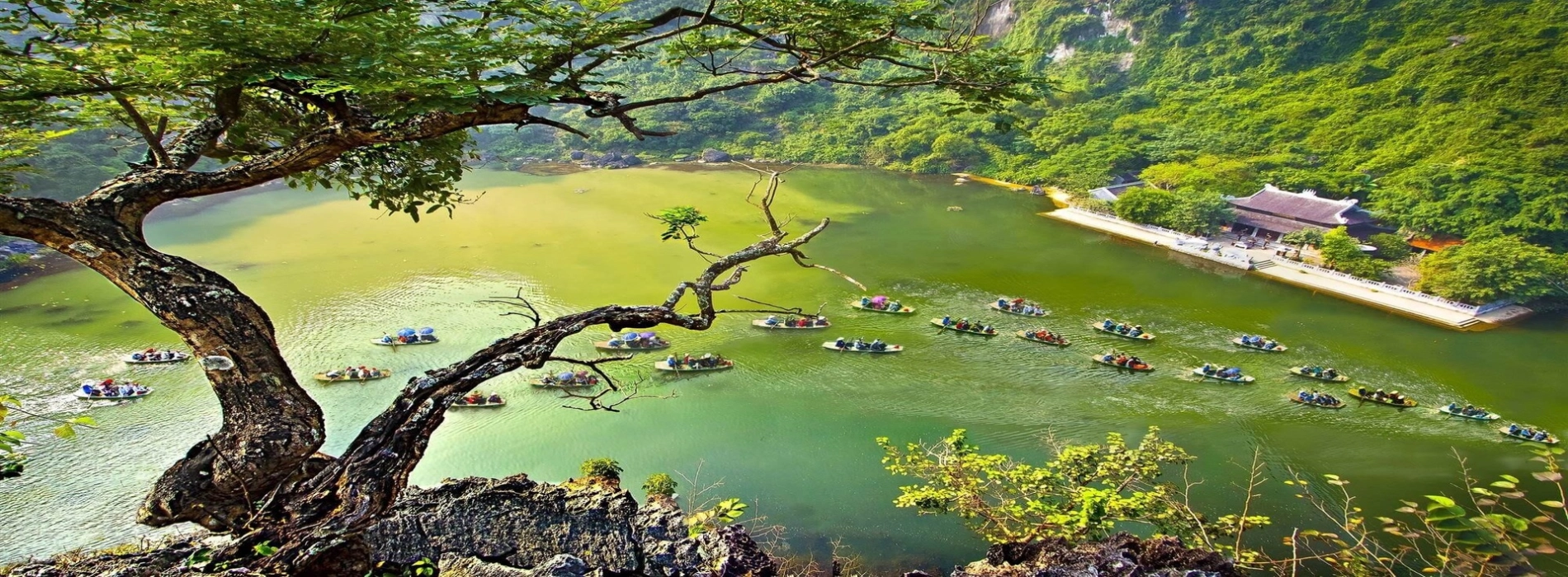 Ninh Binh Tour 3 Days: A perfect itinerary for early May