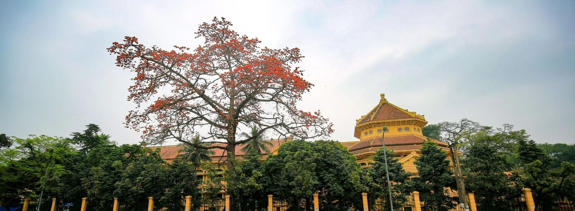 National Museum of Vietnamese History