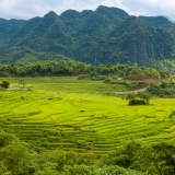 Pu Luong Tour 2 days 1 night:  Pu Luong Experience