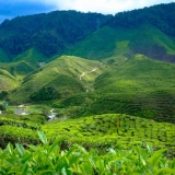 Kuala Lumpur Tour 8 days: Highlights Discovery
