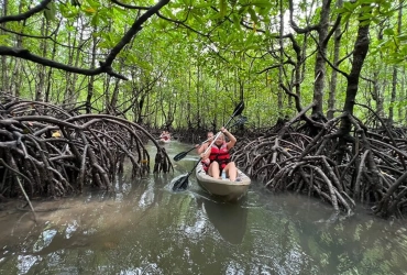 Langkawi - Langkawi Mangrove Forest (B)