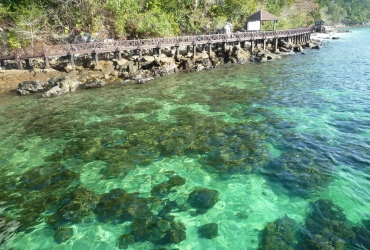 Langkawi Departure (B)