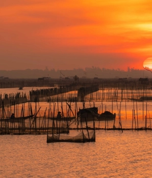 Hue Trip full-day: Exploring the beauty of Tam Giang Lagoon
