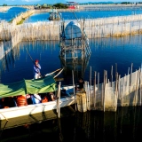 Hue Trip full-day: Exploring the beauty of Tam Giang Lagoon