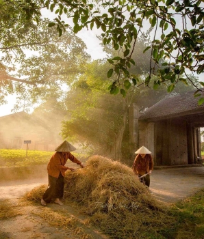 Ha Noi Tour 1 day: Duong Lam Ancient Village