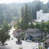 Western Malaysia Jungle Tour 13 Days: Tropical Jungles