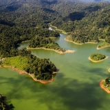 Western Malaysia Jungle Tour 13 Days: Tropical Jungles