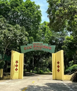 Cuc Phuong National Park Tour 1-day: Explore Natural Wonder