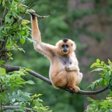Virachey National Park Trekking Tour 4 Days: Adventurous Deep