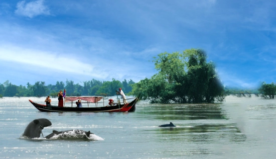 Kratie Tour 2 days: Cycling & Kayaking Experience