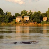 Kratie Tour 2 days: Cycling & Kayaking Experience