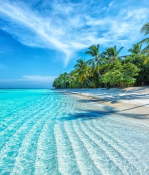 Nha Trang Tour 3 Days Escape: Sun, Sea, and Sights