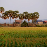 Takeo Tour 2 Days: Cultural Adventure