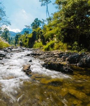 Cardamom Mountains Trekking Tour 4 Days: Jungle Adventure