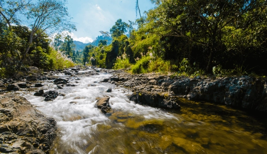 Cardamom Mountains Trekking Tour 4 Days: Jungle Adventure