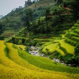 Hoang Su Phi Tour 4 Days: Trekking Experience