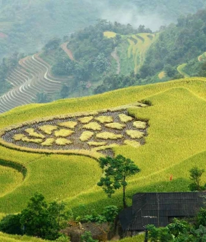Hoang Su Phi Tour 4 Days: Trekking Experience