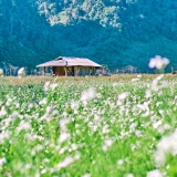 Mai Chau Moc Chau Tour 3 Days: Scenic Highland Adventure