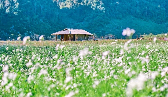 Mai Chau Moc Chau Tour 3 Days: Scenic Highland Adventure
