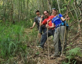 Trekking Tours