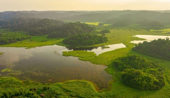 Cat Tien National Park Tour 2-Day: Wildlife and Jungle Adventure