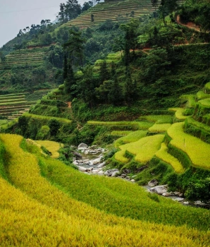 Hoang Su Phi Tour 3 Days: Cutural and Scenic Adventure