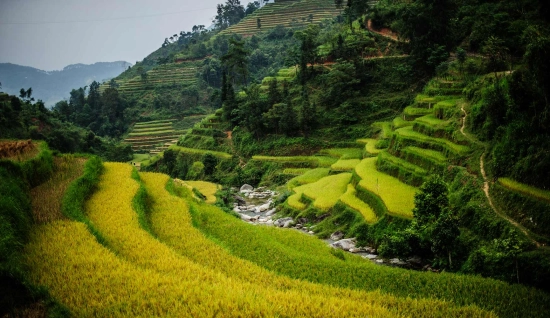 Hoang Su Phi Tour 3 Days: Cutural and Scenic Adventure